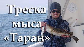 Spring cod fishing in the Baltic Sea Kaliningrad Region slow jigging.