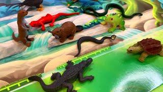 Wild River Friends! Toy Animals and Exciting Puzzle