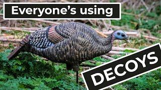 Recruitment is down, decoys are up | Ep 136