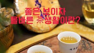 좋은 보이차 란~올바른 茶생활