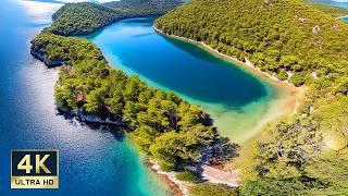 Telascica and Kornati National Park 4K Day Trip from Zadar Croatia