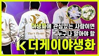 야생화에 관심있는 사람이면 누구나 알아야 할 더케이야생화