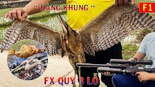 Mang Cây FX Quy 3 Lỗ Ra Đồng Dạo Chơi, Ai Ngờ Gặp Ngay Em Diệc Hoa Hàng Khủng, Lại Phải Say.