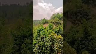 https://youtube.com/shorts/JHrsAJ5PhDc?feature=share