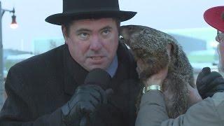 Jimmy the Groundhog 11 a.m. 2-2-15