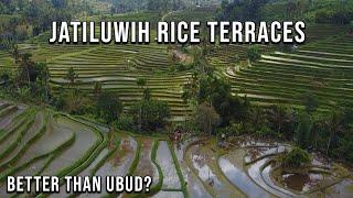 Bali's BIGGEST Rice Terraces | Jatiluwih UNESCO World Heritage Site