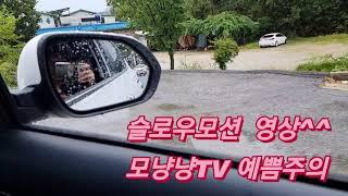 슬로우모션영상^^_예쁨주의_모냥냥TV