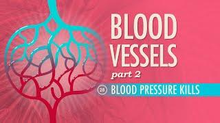 Blood Vessels, Part 2: Crash Course Anatomy & Physiology #28