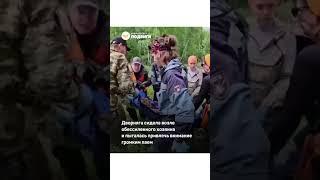 В Новосибирской области собака помогла спасти 72 летнего мужчину, который шесть дней блуждал по лесу