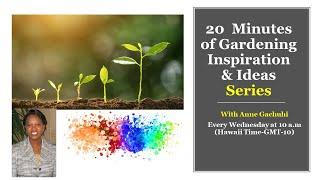 20 Minutes of Gardening Inspiration and Ideas