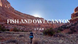 Backpacking Fish and Owl Canyon | Cedar Mesa | Utah