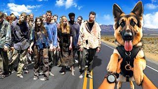 Rescuing a DOG from ZOMBIES! (Arizona Sunshine 2)