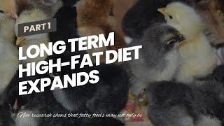 Long term high-fat diet expands waistline and shrinks brain
