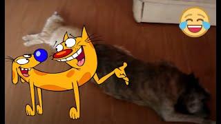 Hell CatDog Part 1