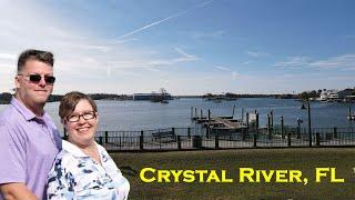 Celebrating Citrus County Lifestyle Waterfront living A good morning from Kings Bay Crystal River