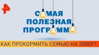 Как прокормить семью на 2000р? Самая полезная программа (11.11.19).