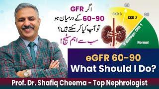 My eGFR 60-90 | What Should I Do | Most important stage to prevent & Slow Down the damage #ckd
