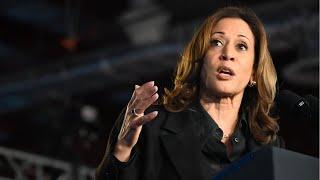 ‘This is on you’: Kamala Harris slammed online following second Trump assassination attempt