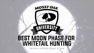 Best Moon Phase for Whitetail Deer Hunting