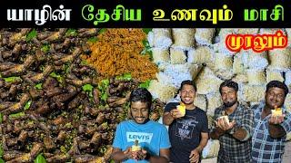 யாழ்ப்பாணத்தின் தேசிய உணவுடன் மாசி முரலும் | Jaffna