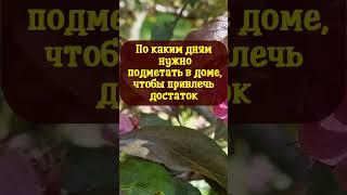 По каким дням нужно подметать в доме, чтобы привлечь достаток