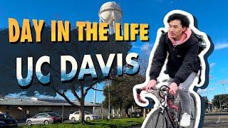 day in the life at UC Davis… but it’s 99% biking.