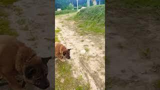 прогулка #жизньпенсионера