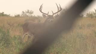 Bowhunting Highlights  (Craig and Julia Meyer)