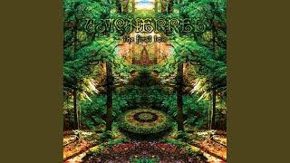 Forest Dreams (Original Mix)