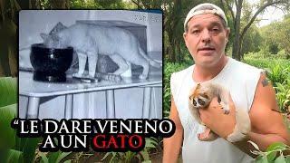 de ser el MÁS amado, a ser un maltratador de animales: Frank Cuesta