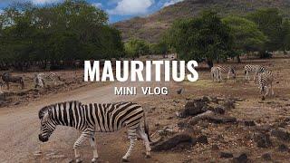 Mauritius Uncovered: Hidden Gems & Must-See Spots | Mini Travel Vlog in 4k