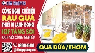 Dây chuyền thiết bị sản xuất trái cây đông lạnh IQF - Kim Nguyễn Corporation