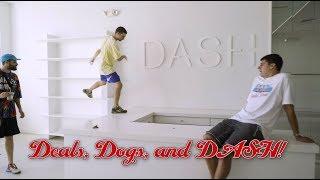 Deals, Dogs, and DASH! S4 Ep9 of The Show by Round Two