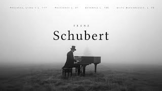 Best of Schubert - Classical Music Gems