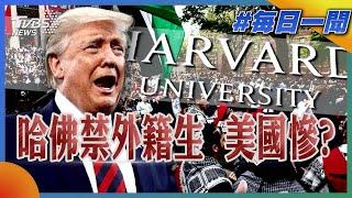 哈佛禁外籍生  美國慘?｜每日一聞｜TVBS新聞 20250527