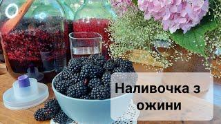 Рецепт наливки з ожини.Домашня кухня.
