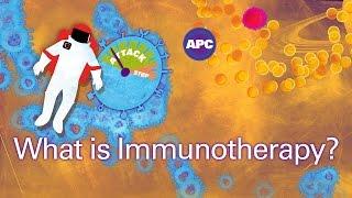 How does cancer immunotherapy work?