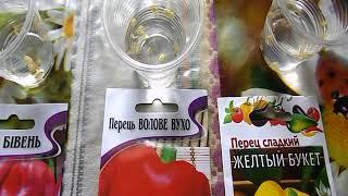 Высаживаю семена перца на рассаду.