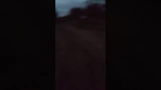 Выборгский водоканал сливает свое говно в речку в которой купаются жители города