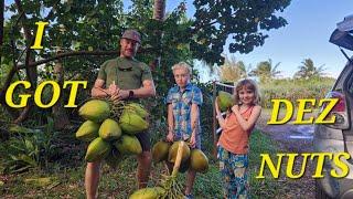 Climbing Coconut Trees in Hawaii: The Kilcher Family's Ultimate Coconut Testing Adventure!