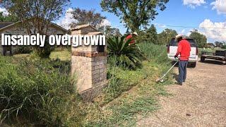 This YARD became a JUNGLE after the OWNER had to LEAVE for an EMERGENCY