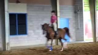 Goucher College Equestrian Video