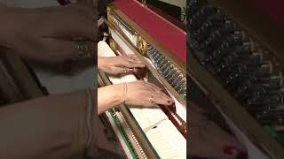 Piano | Parts Of Piano | Basic Of Piano | Learn To Play Piano With Sandhya | #shorts.
