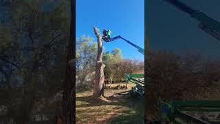 19 m Leguan avant