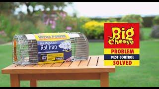 The Big Cheese Ultra Power Live Multi-Catch Rat Trap - STV080