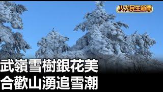 武嶺雪樹銀花美 合歡山湧追雪潮 |【民生八方事】| 2025011201 @gtvnews27