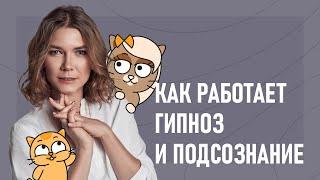 Как работает гипноз? Объясняю на котах