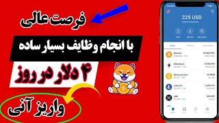 کسب درآمد دلاری با کارهای ساده  روزی ۴ دلار واقعی  اثبات واریز هم داره! 