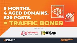 5 Months. 4 Aged Domains. 620 Posts = Traffic Boner