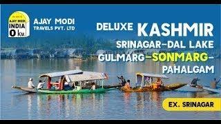 Ajay Modi Deluxe Kashmir 2023-24